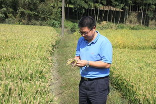 農(nóng)業(yè)科技工作者的楷模 記農(nóng)產(chǎn)品質(zhì)量標(biāo)準(zhǔn)研究所趙學(xué)平研究員的科研風(fēng)采