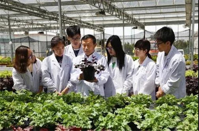 扎根濰坊大地，助力‘三農(nóng)’發(fā)展 濰坊職業(yè)學(xué)院的農(nóng)業(yè)技術(shù)研究實(shí)踐