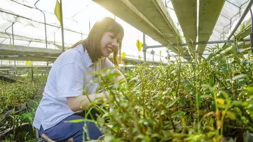 她讓農業(yè)變酷了 女海歸的“無土種菜”技術與農業(yè)未來