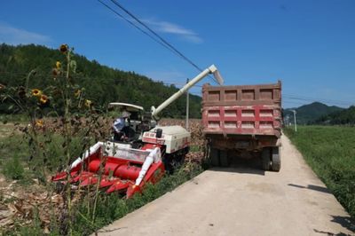 科技助力，省州專家團隊赴施秉縣開展中低產田產能提升與玉米大豆復合種植測產工作