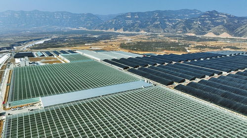 科技賦能，產業升級 山西陽曲農業產業化的創新實踐