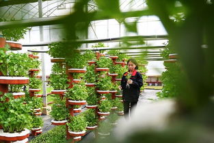 農業產業周報 海大、伊利領銜行業動態，資本聚焦智慧農業與生物技術